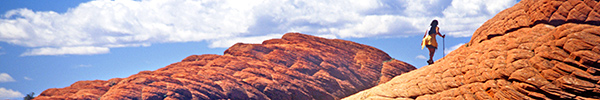 Backroads Multisport Trips